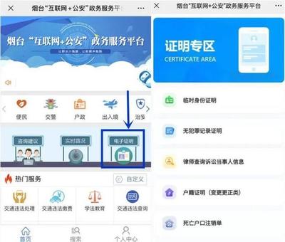 臨時身份證明電子政務認證服務 數(shù)字化賦能與便民新體驗